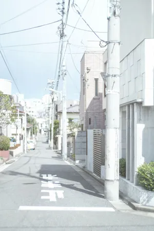 Delicate White All Around! Wallpaper