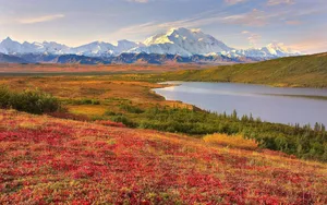 Denali With Red Field Wallpaper