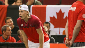 Denis Shapovalov With Canadian Flag Wallpaper