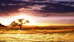 Desert In Africa 4k Wallpaper