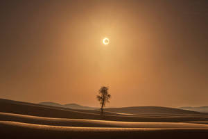 Desert Sun Eclipse Wallpaper
