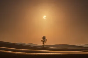 Desert Sun Eclipse Wallpaper