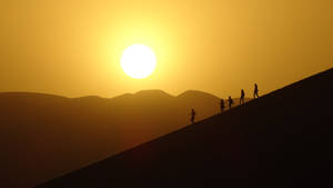 Desert Sun Visitors Wallpaper