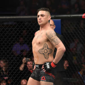 Diego Sanchez Posing Image Wallpaper