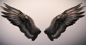 Digital Black Angel Wings Wallpaper