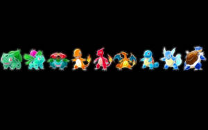 Digital Squirtle Evolutions Poster Wallpaper