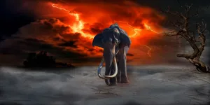 Digital Thunder Elephant Wallpaper