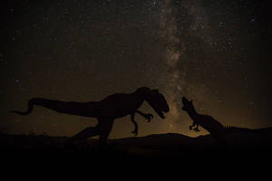 Dinosaur Night Silhouette Wallpaper
