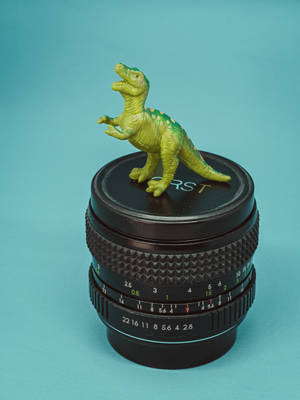 Dinosaur On Camera Lens Wallpaper