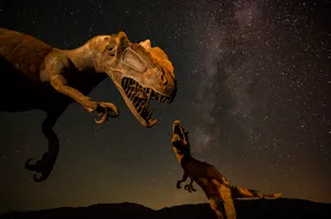 Dinosaurs At Night Wallpaper