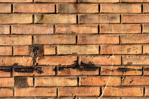 Dirty Brick Wall Wallpaper