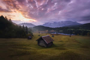 “discover More With Google” Wallpaper