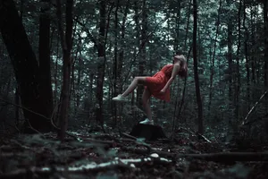 Discover The Enchanting Secrets Of The Magical Forest Wallpaper