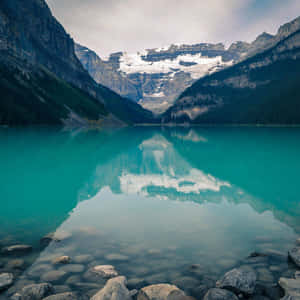Discover The World Of Nature Through Your Ipad Wallpaper