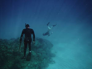 Discovering The Underwater World: Scuba Diver Exploring Rocky Seabed Wallpaper