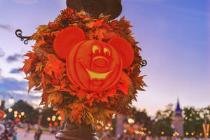 Disney Halloween Pumpkin Mickey Wallpaper