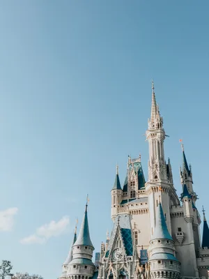 Disney Princess Castle View Wallpaper