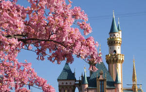 Disney World Castle On Spring Wallpaper