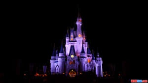 Disney World In Dark Desktop Wallpaper