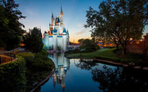 Disney World With Trees Desktop Wallpaper