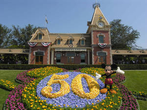 Disneyland Castle Flower Garden Wallpaper