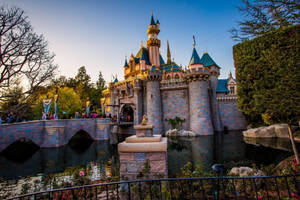 Disneyland Castle Garden Lake Wallpaper