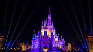 Disneyworld At Night Wallpaper