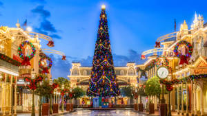 Disneyworld Christmas Tree Wallpaper