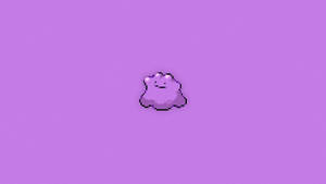 Ditto Cute Drawing Wallpaper