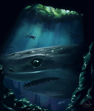 Diver And A Shark Art Wallpaper