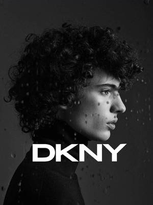 Dkny Logo With Model Wallpaper