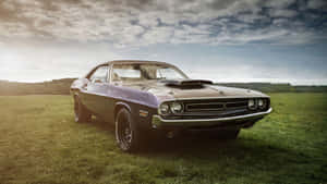 Dodge Challenger Vintage Sports Car Wallpaper