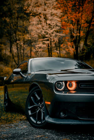 Dodge Challenger Wallpapers Wallpaper