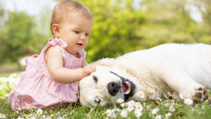 Dog And Girl Enjoying Together Wallpaper