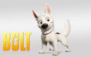 Dog Bolt White Poster Wallpaper