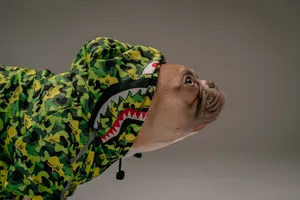 Dog In Bape Hoodie Wallpaper