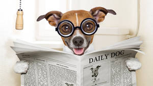 Dog Reading Newspaper Wallpaper
