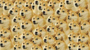 Doge Expressions Galore! Wallpaper