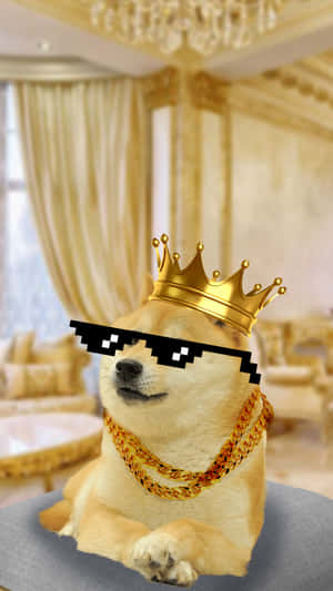 Doge With Crown Wallpaper