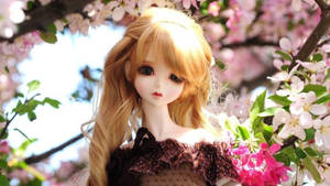 Doll And Cherry Blossoms Wallpaper
