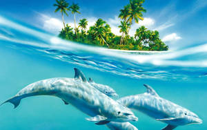 Dolphins And Palm Trees Wallpaper