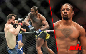 Dominick Reyes Preparing For Combat In The Ufc Octagon Wallpaper