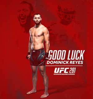Dominick Reyes U F C281 Good Luck Poster Wallpaper