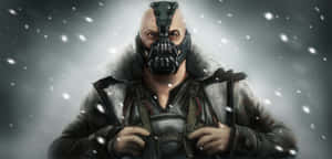 Don't Mess With Bane Wallpaper