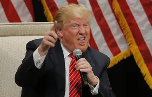 Donald Trump Funny Face Wallpaper