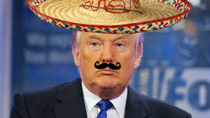 Donald Trump Mexican Hat Meme Wallpaper