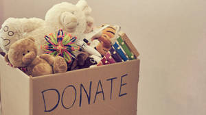 Donation Box Stuffed Toy Animal Photography Wallpaper