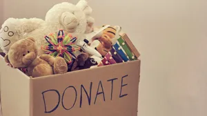 Donation Box Stuffed Toy Animal Photography Wallpaper