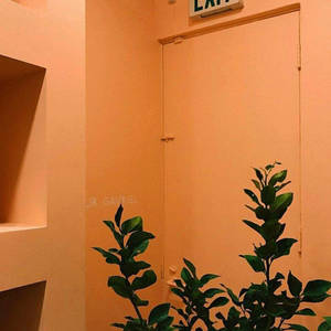 Door In Pastel Orange Aesthetic Color Wallpaper