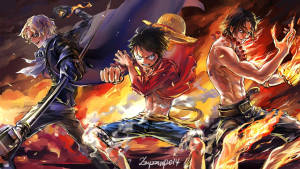 Dope Anime Pirate Brothers Wallpaper